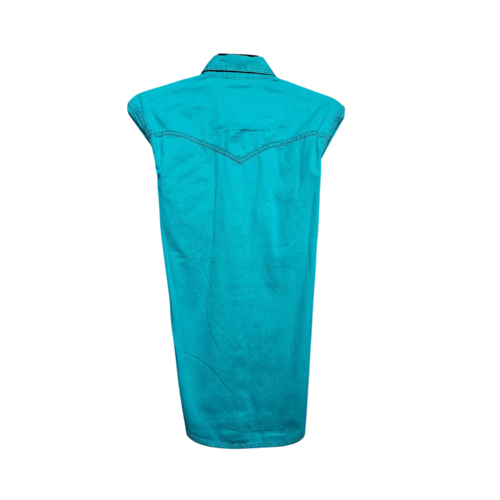 Wrangler Retro MVR443G